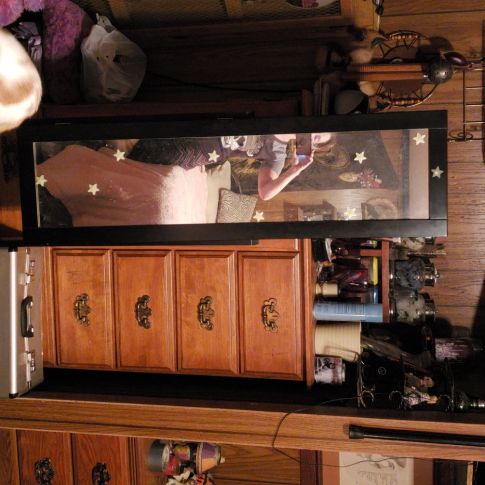 Stand up jewelry box. Jewelry not included